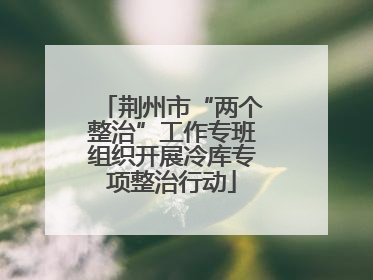 荆州市“两个整治”工作专班组织开展冷库专项整治行动