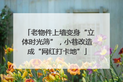 老物件上墙变身“立体时光簿”，小巷改造成“网红打卡地”