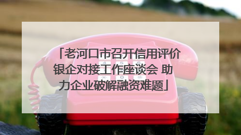 老河口市召开信用评价银企对接工作座谈会 助力企业破解融资难题