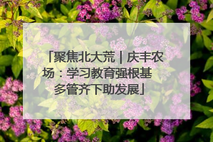 聚焦北大荒｜庆丰农场：学习教育强根基 多管齐下助发展