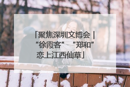 聚焦深圳文博会｜“徐霞客”“郑和”恋上江西仙草