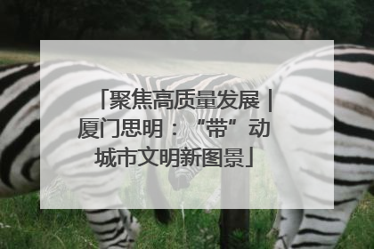 聚焦高质量发展｜厦门思明：“带”动城市文明新图景