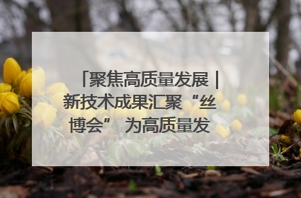 聚焦高质量发展｜新技术成果汇聚“丝博会” 为高质量发展注入新动能