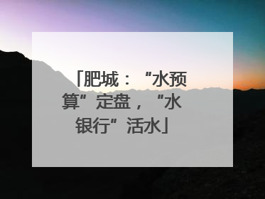 肥城：“水预算”定盘，“水银行”活水