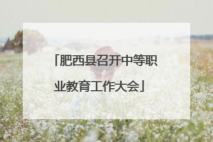肥西县召开中等职业教育工作大会