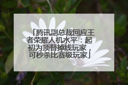 腾讯副总裁回应王者荣耀人机水平：起初为顶替掉线玩家，可秒杀比赛级玩家