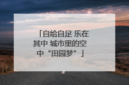 自给自足 乐在其中 城市里的空中“田园梦”