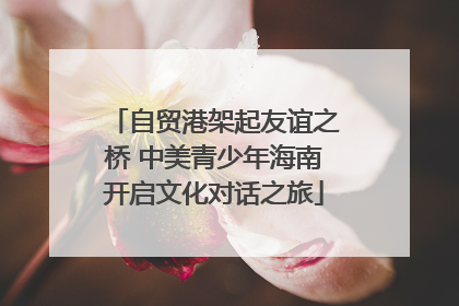 自贸港架起友谊之桥 中美青少年海南开启文化对话之旅