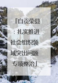 自贡荣县：扎实推进社会组织领域突出问题专项整治