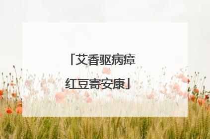 艾香驱病瘴 红豆寄安康