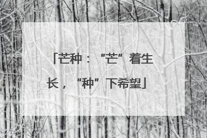 芒种：“芒”着生长，“种”下希望