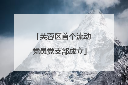 芙蓉区首个流动党员党支部成立