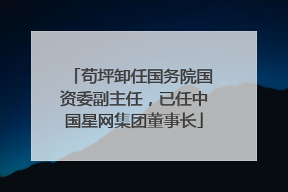 苟坪卸任国务院国资委副主任，已任中国星网集团董事长