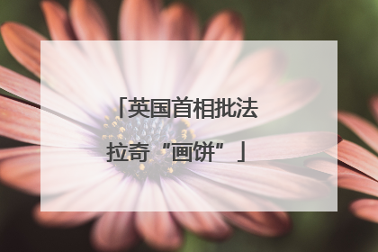 英国首相批法拉奇“画饼”