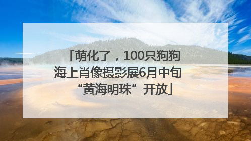萌化了，100只狗狗海上肖像摄影展6月中旬“黄海明珠”开放