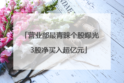 营业部最青睐个股曝光 3股净买入超亿元