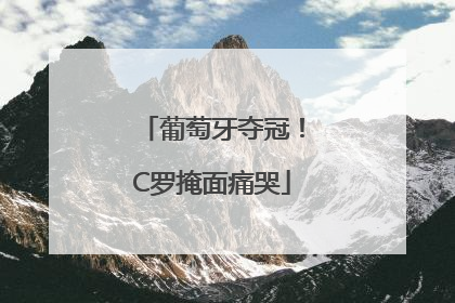 葡萄牙夺冠！C罗掩面痛哭