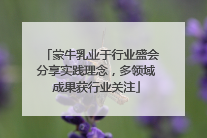蒙牛乳业于行业盛会分享实践理念，多领域成果获行业关注