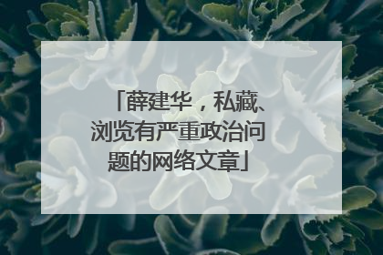 薛建华，私藏、浏览有严重政治问题的网络文章