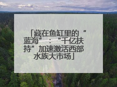 藏在鱼缸里的“蓝海”：“千亿扶持”加速激活西部水族大市场