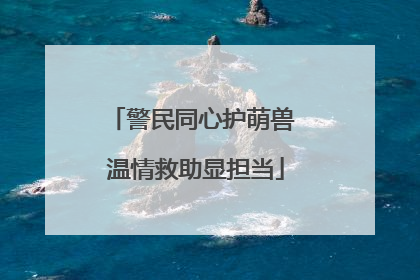 警民同心护萌兽 温情救助显担当