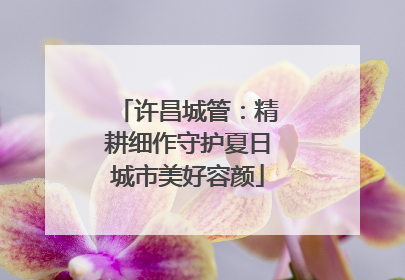 许昌城管：精耕细作守护夏日城市美好容颜