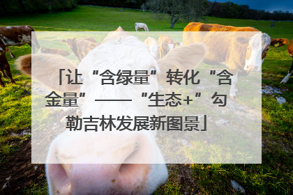 让“含绿量”转化“含金量”——“生态+”勾勒吉林发展新图景