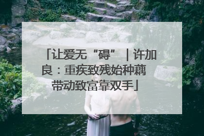 让爱无“碍”｜许加良：重疾致残始种藕 带动致富靠双手
