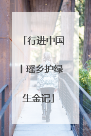 行进中国丨瑶乡护绿生金记