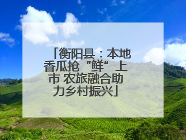 衡阳县：本地香瓜抢“鲜”上市 农旅融合助力乡村振兴
