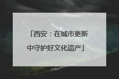 西安：在城市更新中守护好文化遗产