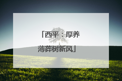 西平：厚养薄葬树新风