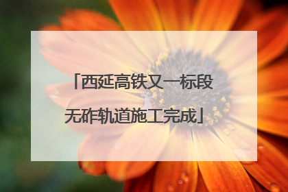 西延高铁又一标段无砟轨道施工完成