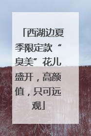 西湖边夏季限定款“臭美”花儿盛开，高颜值，只可远观