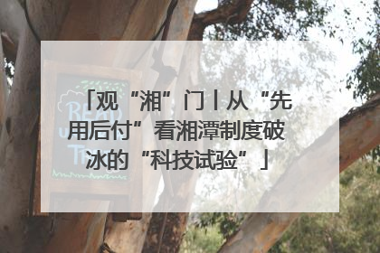 观“湘”门丨从“先用后付”看湘潭制度破冰的“科技试验”