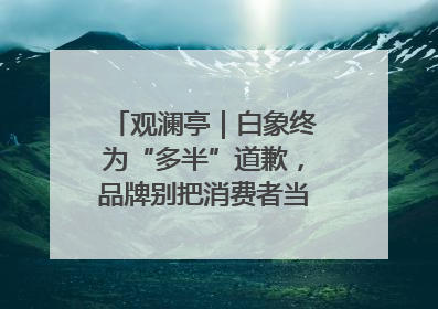 观澜亭｜白象终为“多半”道歉，品牌别把消费者当“小白”