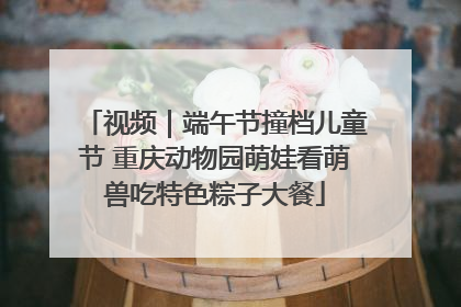 视频｜端午节撞档儿童节 重庆动物园萌娃看萌兽吃特色粽子大餐