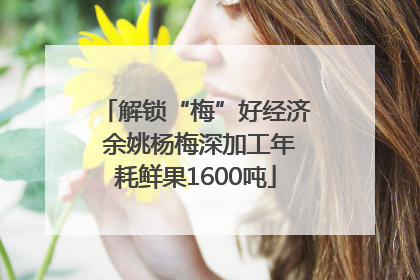 解锁“梅”好经济 余姚杨梅深加工年耗鲜果1600吨