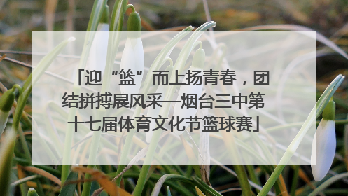 迎“篮”而上扬青春，团结拼搏展风采—烟台三中第十七届体育文化节篮球赛