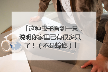 这种虫子看到一只，说明你家里已有很多只了！（不是蟑螂）