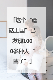 这个“蘑菇王国”已发现1000多种大“菌子”