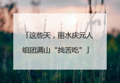 这些天，丽水庆元人组团满山“找苦吃”