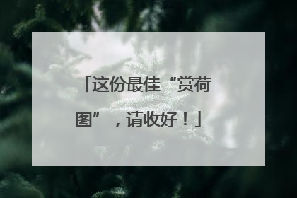 这份最佳“赏荷图”，请收好！