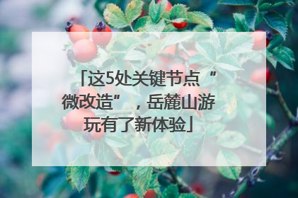 这5处关键节点“微改造”，岳麓山游玩有了新体验