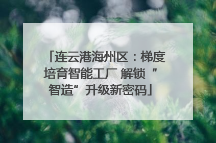 连云港海州区：梯度培育智能工厂 解锁“智造”升级新密码