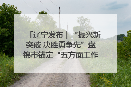 辽宁发布｜“振兴新突破 决胜勇争先”盘锦市锚定“五方面工作”力争全年地区生产总值增长5.5%左右