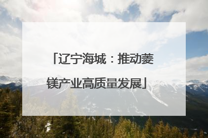 辽宁海城：推动菱镁产业高质量发展