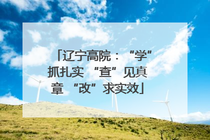 辽宁高院：“学”抓扎实 “查”见真章 “改”求实效