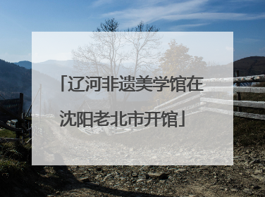 辽河非遗美学馆在沈阳老北市开馆