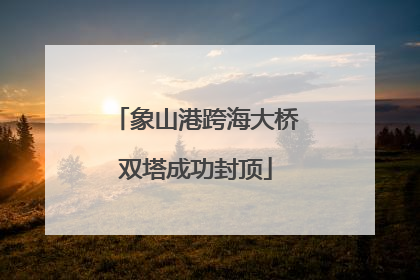 象山港跨海大桥双塔成功封顶